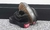 VANS OLD SKOOL TOTAL BLACK - BABY - DY STEFANO