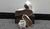 VANS KNU BLANCAS - BABY & KIDS - tienda online