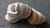 NIKE AIR DEPORTIVA BEIGE - BABY - DY STEFANO