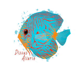 Discus Alterio