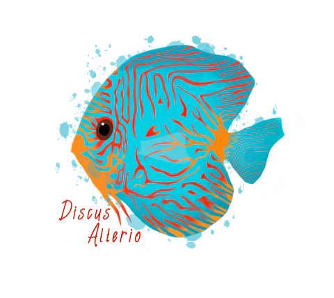 Discus Alterio