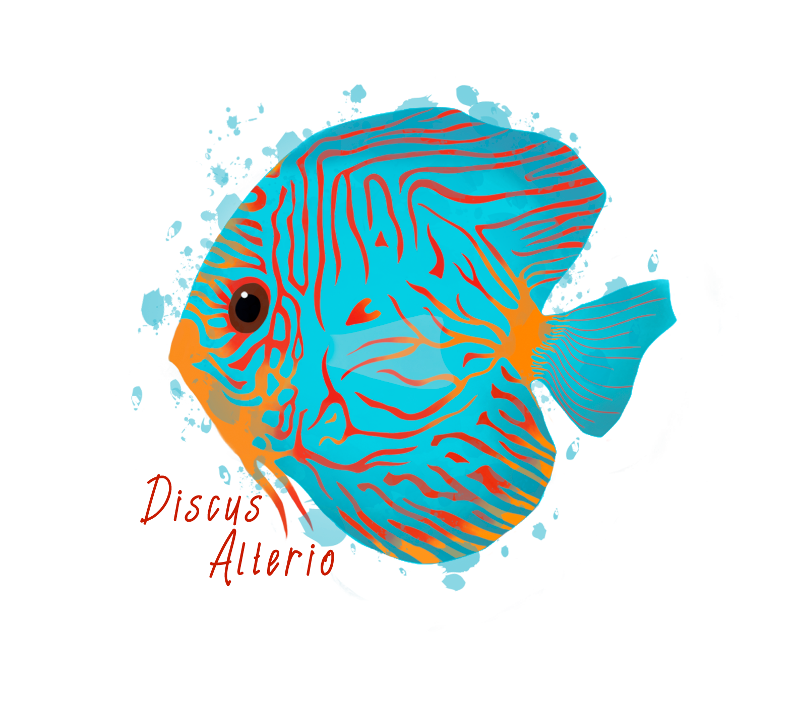 Discus Alterio