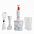 Mixer Minipimer Kanji Home 3 En 1 800w Licuadora Procesadora Batidora en internet