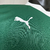 Imagem do Camisa Palmeiras 2025 Uniforme Home Versão Jogador Masculino - Verde