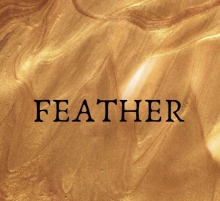 Feather clothes