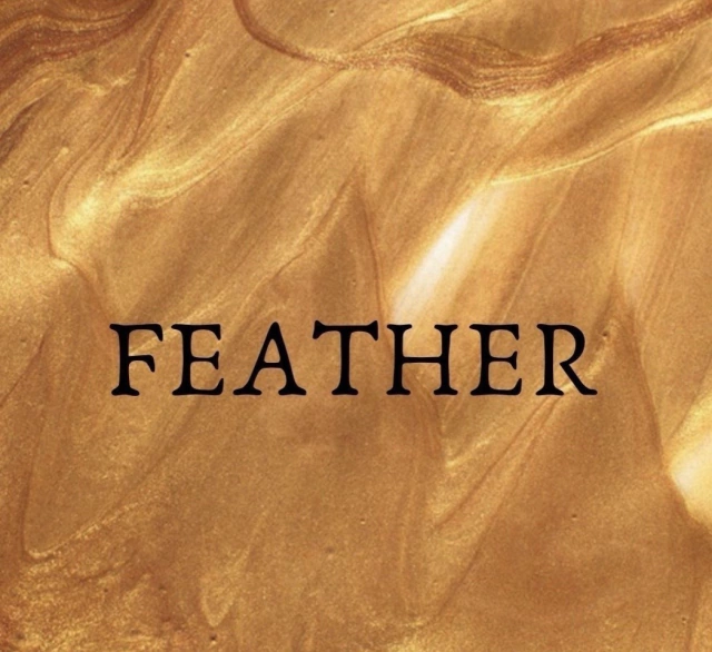 Feather clothes