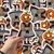 Sticker Calabaza