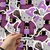 Sticker Ternurin Brujita