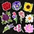 Stickers Edición Flores