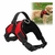 PRETAL ARNES ACOLCHONADO PECHERA PARA PERROS ROJO L