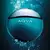 Bvlgari Aqva Pour Homme Eau de Toilette na internet