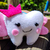 Kit Hada de los Dientes en internet
