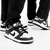 Imagem do Nike Dunk Low Panda