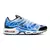 Imagem do Nike Air Max Plus Ice