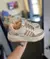 Adidas Forum Platform