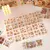 Stickers Capybara - Odda