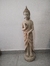 Budha protector