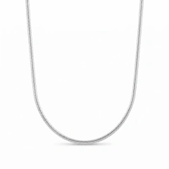 Collar Snake Plata 925