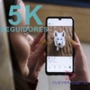 5K Seguidores no Instagram
