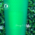 Studded Starbucks Walt Disney Mickey Mouse Jelly Green. - Starmugs & Collections