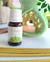 Aceites Vishnu en internet