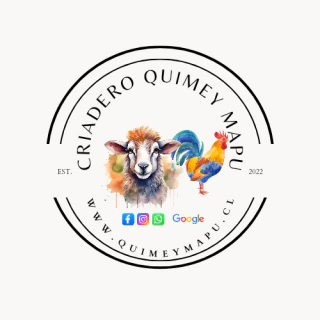 Criadero Quimey Mapu