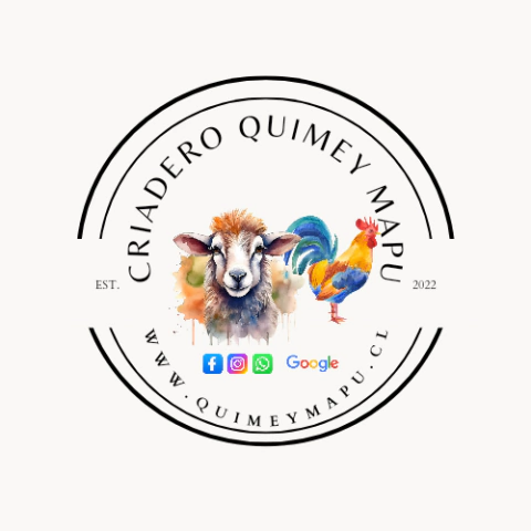 Criadero Quimey Mapu