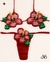 Biquíni Flor de Hibisco - Abrilhante