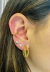 Imagem do Piercing orgânico