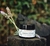 DERMIS LAVANDA 30ml para quemaduras.