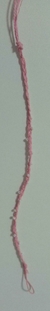 Pulsera Perla en internet