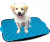 Sanitario Canino Xixi Dog Jel Plast Tapete Higiênico Cães - Azul (22000300AA)