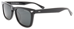 Óculos De Sol Black Flys Fly Harvey