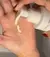 GEL DE LIMPEZA FACIAL - NICOLLY TAVEIRA - comprar online