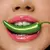 GREENCHILLI FRAN BY FRANCINY EHLKE EDIÇÃO LIMITADA - comprar online
