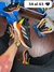 Adidas AdiZero Boston 12