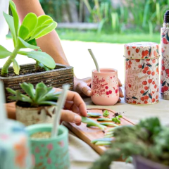 Set Matero de Latas + Mate APA LA PAPA - comprar online