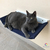 Cama Para Gato Suspensa Rede De Parede - loja online