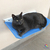 Cama Para Gato Suspensa Rede De Parede Azul Bebê - loja online