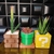 Kit Vasos Suculentas Mario - loja online