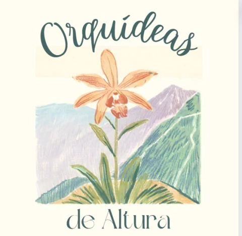 Orquideas de altura