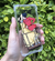 Imagen de Phone Case Personalizada