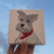 Canva 10x10 cm en internet