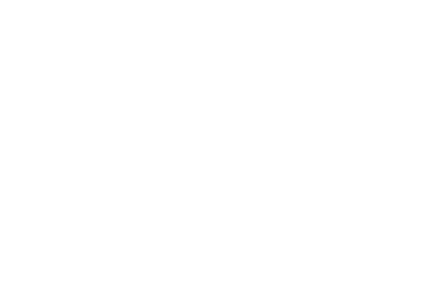 Angax MX