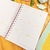 Planner do professor na internet