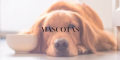 Banner de la categoría Mascotas 