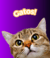 Banner de Veterinaria michaela