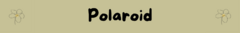 Banner da categoria Polaroid