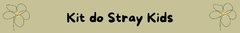 Banner da categoria Stray Kids