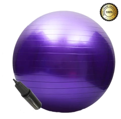 Bola De Pilates Para Yoga Abdominal Academia Funcional 65 Cm